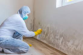 Trusted Elizabethville, PA Mold Prevention & Removal  Experts